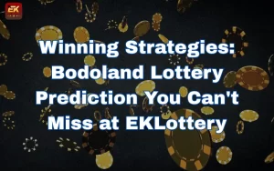 Bodoland Lottery Prediction