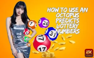octopus predicts lottery